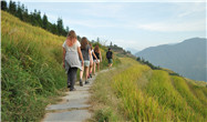 Wandern auf den Longsheng Reisterrassen