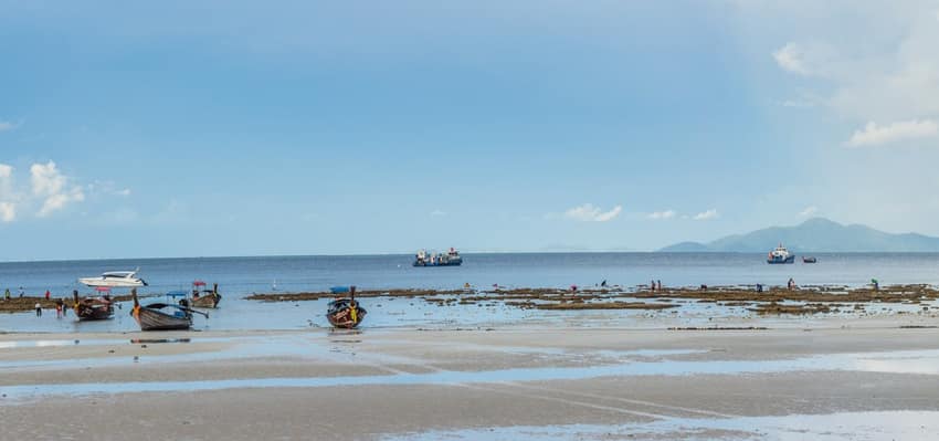 Phi Phi Island