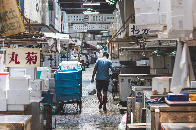 Tsukiji Market