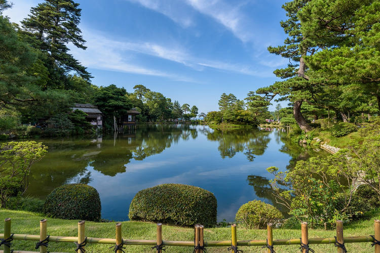 Teeplantage in Japan