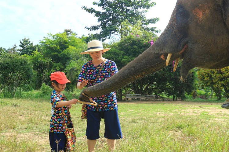 Laos Elefanten Reiseroute 2 Wochen