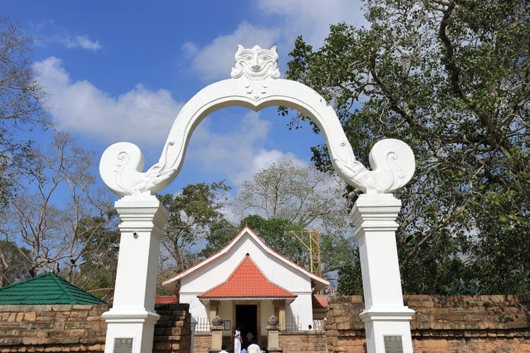 Der heilige Baum – Jaya Sri Maha Bodhi