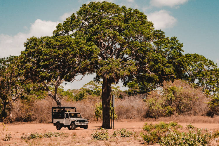 Yala Nationalpark