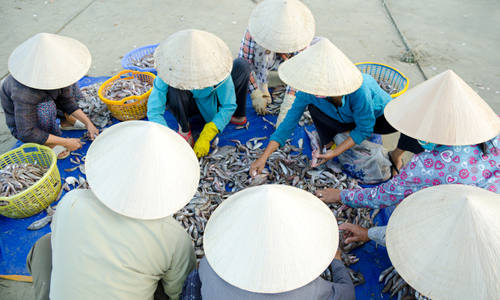 Vietnam