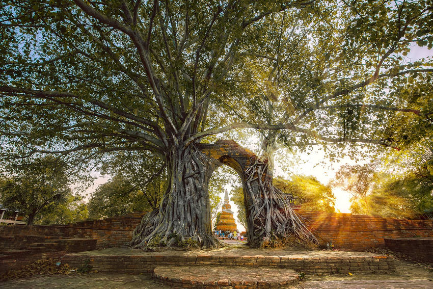 Ayutthaya