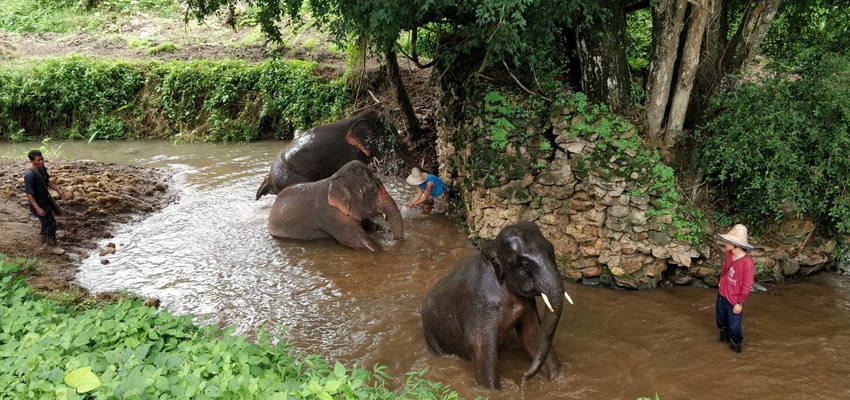 Chiang Mai in der Regenzeit