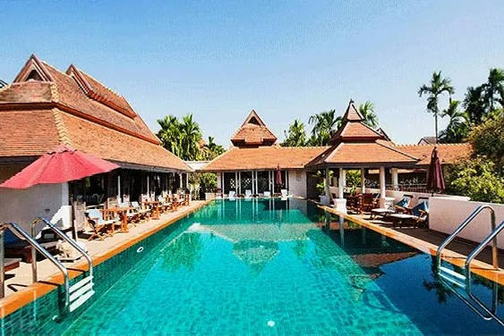 Elefanten Chiang Mai