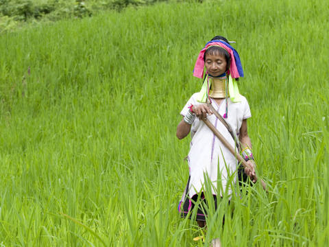 Wie planen Sie Thailand Kambodscha Rundreise