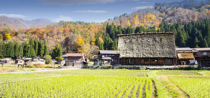 Das Alltagsleben in Koyasan