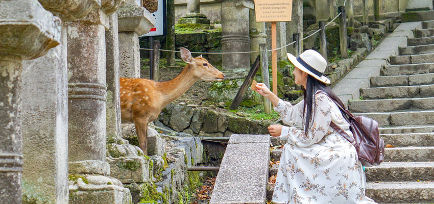 Nara-Park