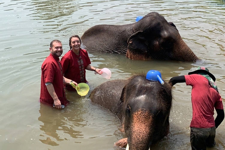 Elephant Rescue Park